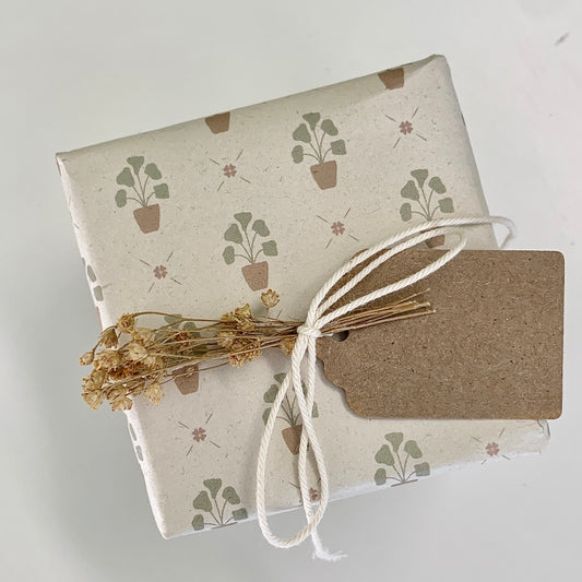 Cadeautje, ingepakt in duurzaam inpakpapier gemaakt van landbouwrestafval | plantjes