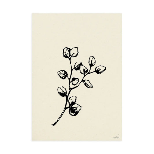 Poster A4 | Eucalyptus | naturel