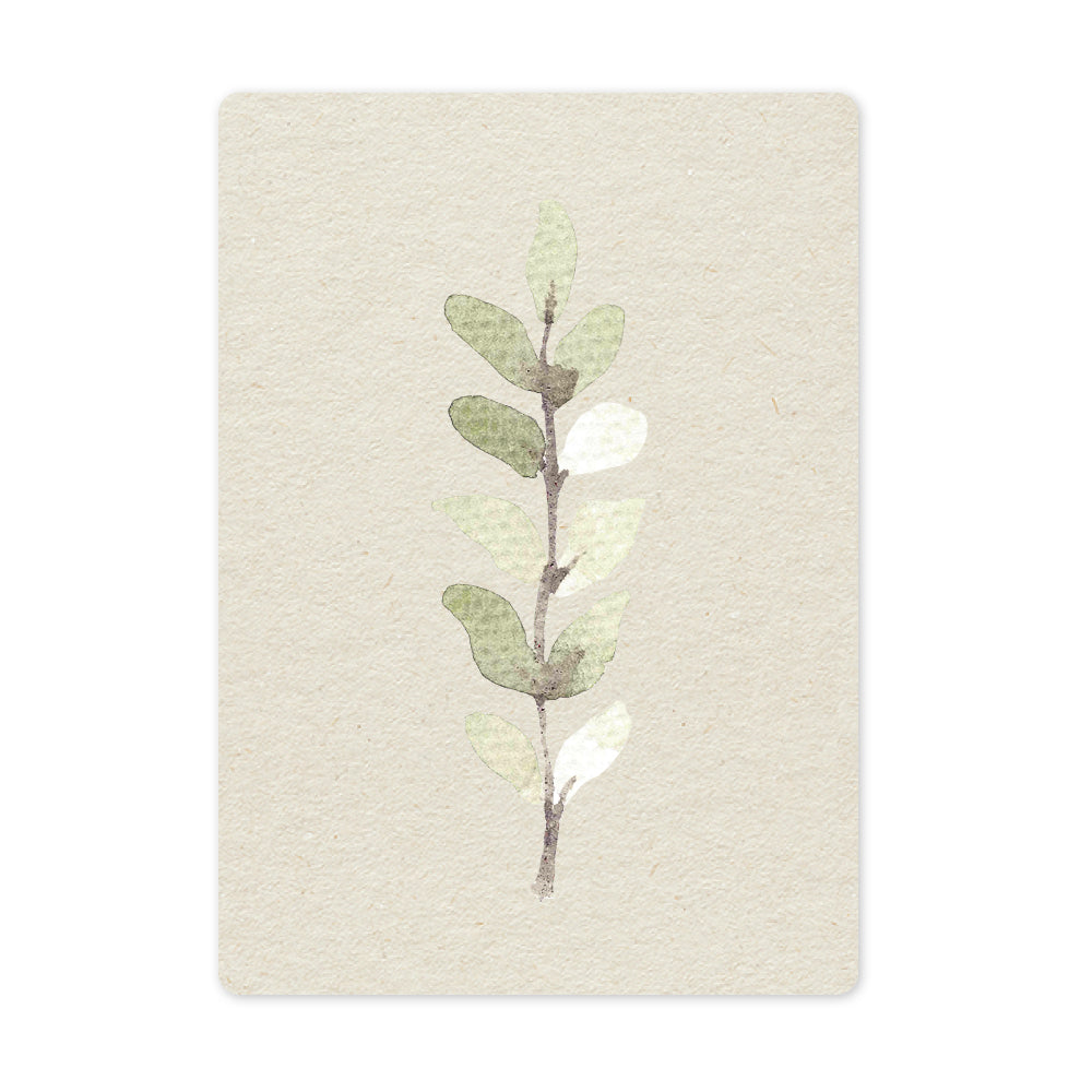 Duurzame ansichtkaart | Eucalyptus