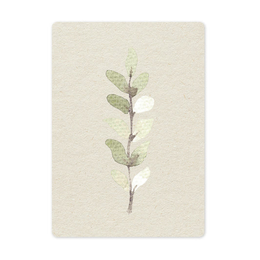 Duurzame ansichtkaart | Eucalyptus