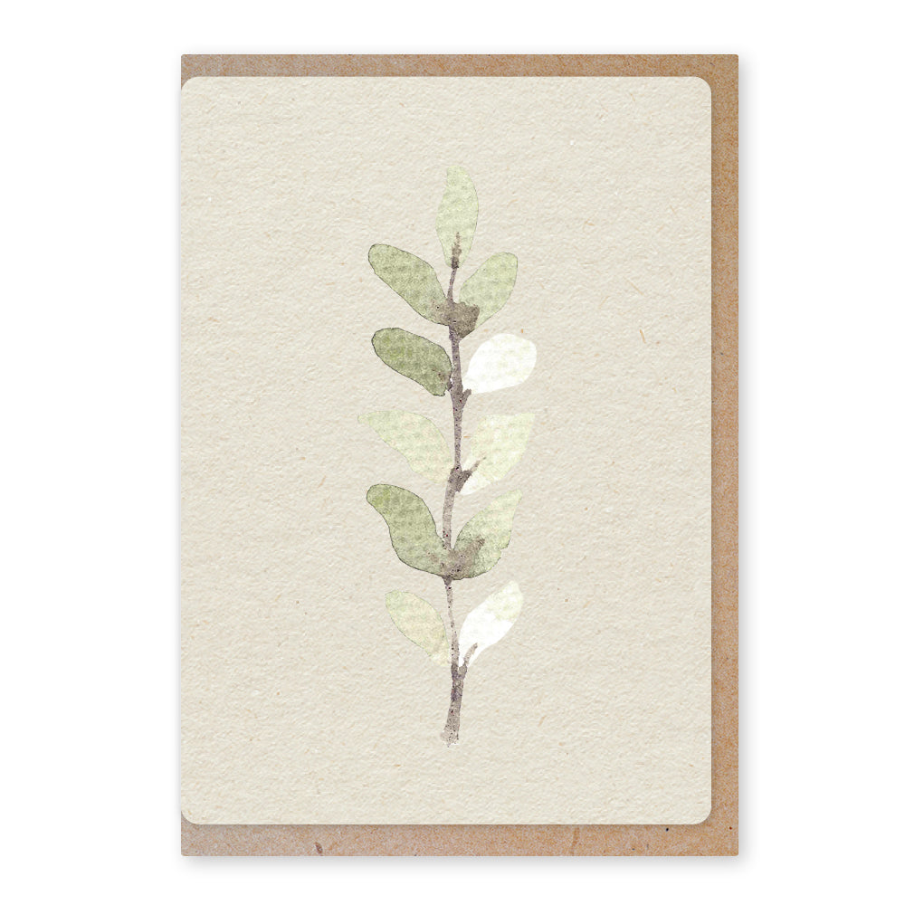 Duurzame ansichtkaart | Eucalyptus