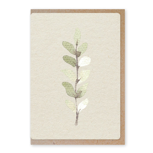 Duurzame ansichtkaart | Eucalyptus