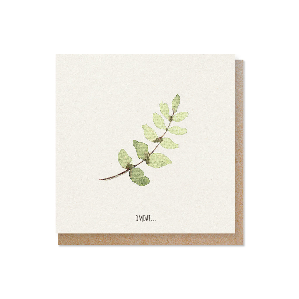 Duurzame wenskaarten Aquarel  | Set van 5
