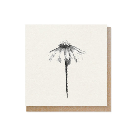 Duurzame wenskaart | Echinacea