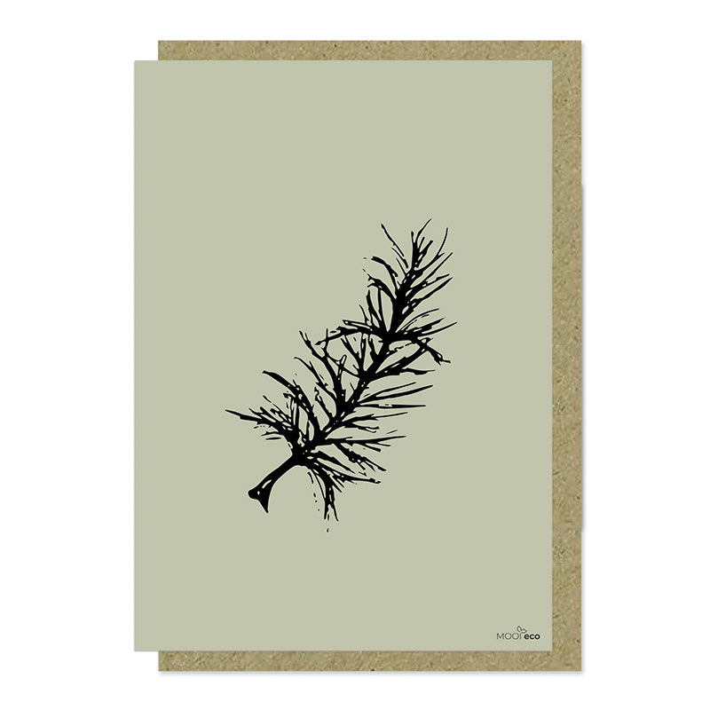 Een mooie grote duurzame kaart met een afbeelding van een dennentak. De illustraties zijn gemaakt in onze grafische studio. Gedrukt op Paperwise Naturel, boomvrij papier van landbouwrestafval.